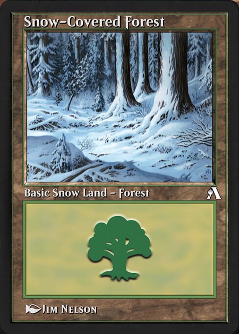 Snow-Covered Forest
