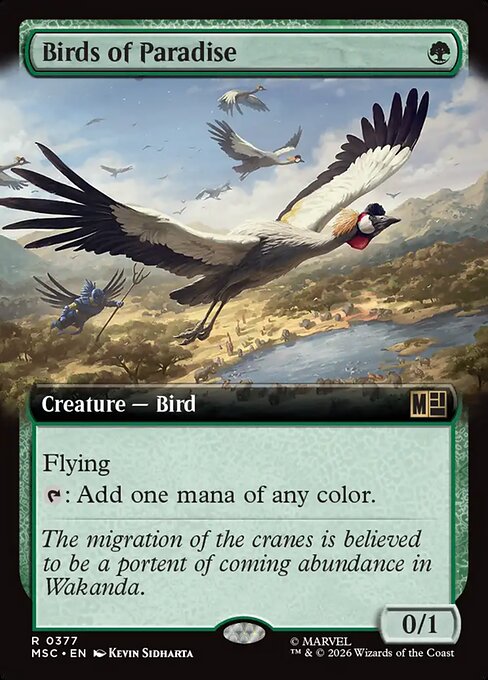 Birds of Paradise