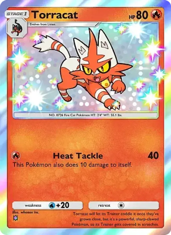 Torracat